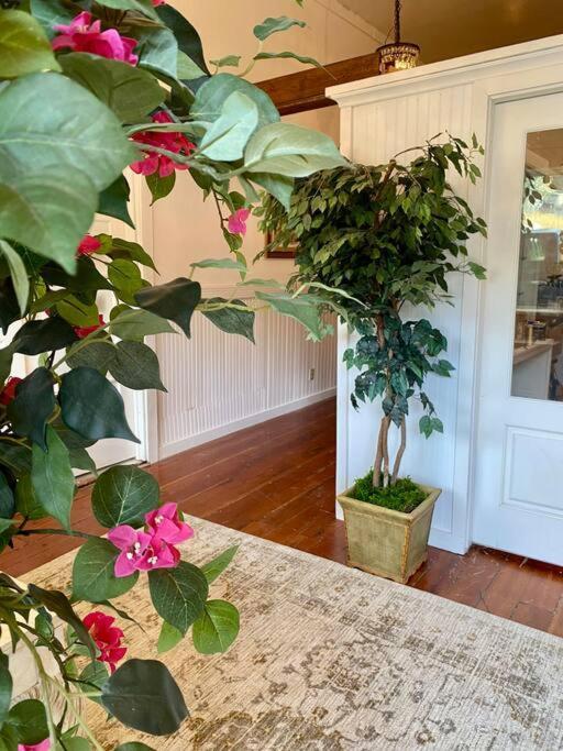 The Shopkeeper'S Cottage ~ Chic! Amador City Екстериор снимка